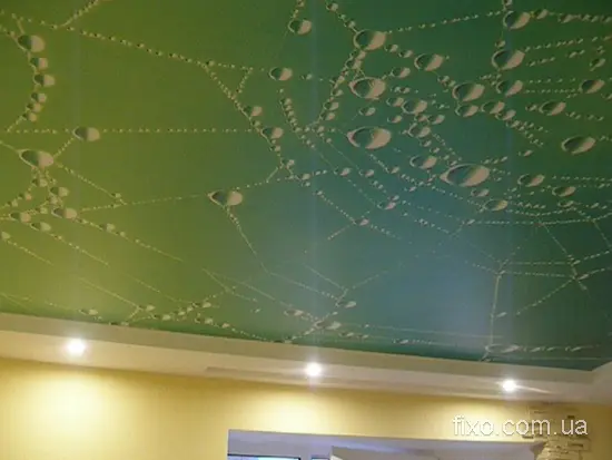 краплі і павутинка фотодрук