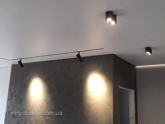 сатинова стеля з трек-системою