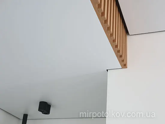 тіньовий по контуру і парящий над рейками